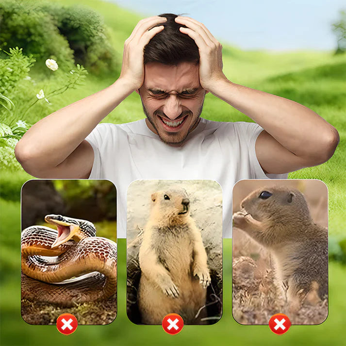 🎁 Achetez-en 2, obtenez-en 1 GRATUIT ! 🐭✨Répulsif solaire étanche contre les souris 🌞💧