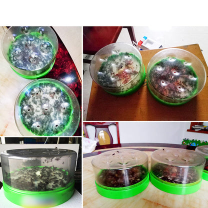 🏆Offre flash⚡Plus de 50 000 exemplaires vendus ! Presque épuisé-💥🔌✅ Piège à mouches réutilisable — sans électricité, sans poison ! 🏠 Peut être utilisé en toute sécurité dans la cuisine, en présence d'enfants et d'animaux de compagnie.