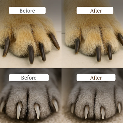 💅-50% Soldes 2026 — Plus de 33 000 vendus ! 🐾 Coupe-Griffes pour Chiens et Chats avec Lumière LED